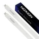 Noxion LED R&ouml;hren (T5) HO Avant Extreme | Mains