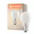 Ledvance Classic LED E27 Birne Fadenlampe Matt 7.5W 1055lm - 940 Cool white | Höchste Farbwiedergabe - Dimmbar - Ersatz für 75W